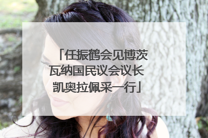 任振鹤会见博茨瓦纳国民议会议长凯奥拉佩采一行