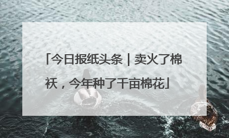 今日报纸头条｜卖火了棉袄，今年种了千亩棉花
