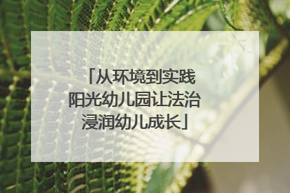 从环境到实践 阳光幼儿园让法治浸润幼儿成长