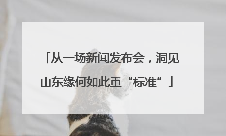 从一场新闻发布会，洞见山东缘何如此重“标准”