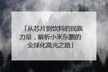 从芯片到饮料的民族力量，解析小米东鹏的全球化高光之路