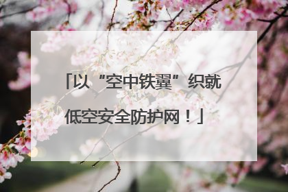 以“空中铁翼”织就低空安全防护网！