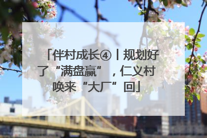 伴村成长④丨规划好了“满盘赢”，仁义村唤来“大厂”回