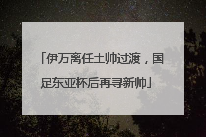 伊万离任土帅过渡，国足东亚杯后再寻新帅