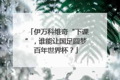 伊万科维奇“下课”，谁能让国足圆梦百年世界杯？