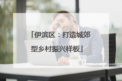 伊滨区：打造城郊型乡村振兴样板