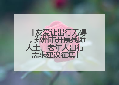 友爱让出行无碍，郑州市开展残障人士、老年人出行需求建议征集