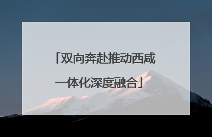 双向奔赴推动西咸一体化深度融合