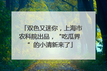 双色又迷你，上海市农科院出品，“吃瓜界”的小清新来了