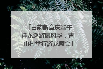 古韵新章庆端午 祥龙巡游展风华，青山村举行游龙盛会