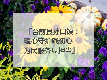 台前县孙口镇：暖心守护践初心 为民服务显担当
