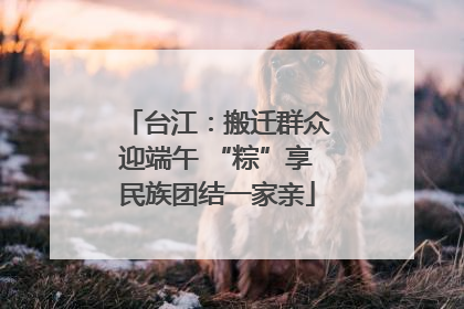 台江：搬迁群众迎端午 “粽”享民族团结一家亲