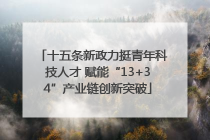 十五条新政力挺青年科技人才 赋能“13+34”产业链创新突破