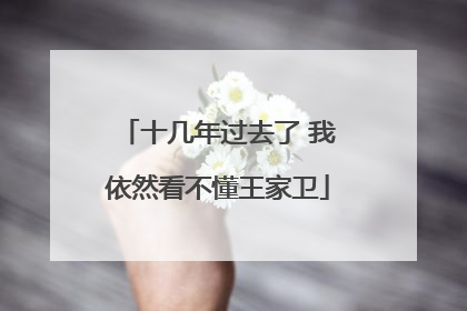十几年过去了 我依然看不懂王家卫