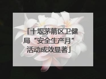 十堰茅箭区卫健局“安全生产月”活动成效显著