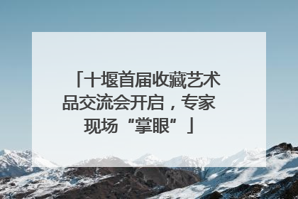 十堰首届收藏艺术品交流会开启，专家现场“掌眼”
