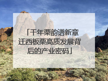 千年栗韵谱新章 迁西板栗高质发展背后的产业密码
