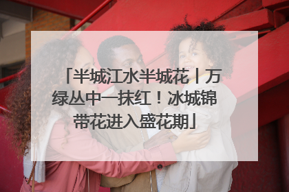 半城江水半城花丨万绿丛中一抹红！冰城锦带花进入盛花期
