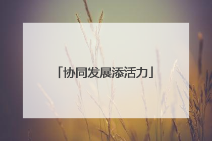 协同发展添活力