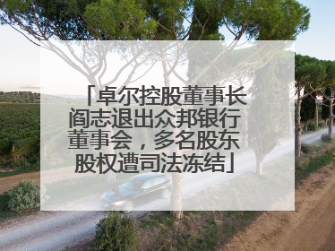 卓尔控股董事长阎志退出众邦银行董事会，多名股东股权遭司法冻结