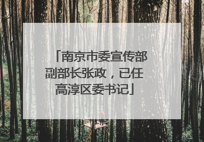 南京市委宣传部副部长张政，已任高淳区委书记