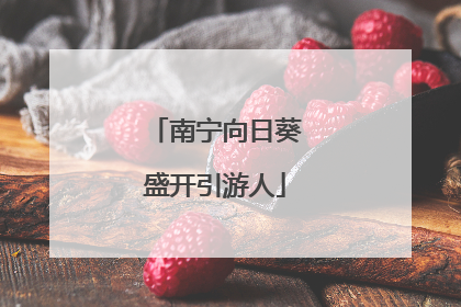 南宁向日葵盛开引游人
