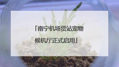 南宁机场货站宠物候机厅正式启用