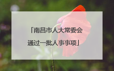 南昌市人大常委会通过一批人事事项