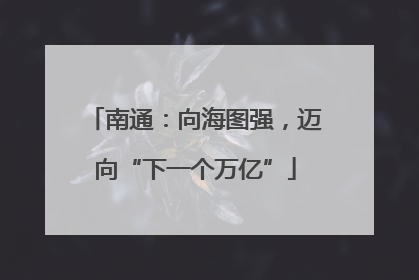 南通：向海图强，迈向“下一个万亿”