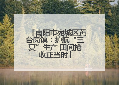 南阳市宛城区黄台岗镇：护航“三夏”生产 田间抢收正当时