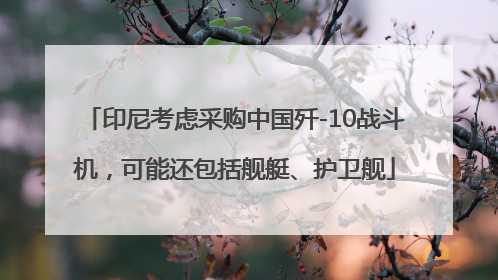 印尼考虑采购中国歼-10战斗机，可能还包括舰艇、护卫舰