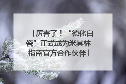 厉害了！“德化白瓷”正式成为米其林指南官方合作伙伴