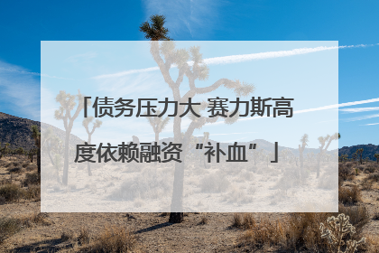 债务压力大 赛力斯高度依赖融资“补血”