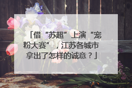 借“苏超”上演“宠粉大赛”，江苏各城市拿出了怎样的诚意？