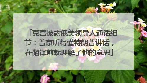 克宫披露俄美领导人通话细节：普京听得懂特朗普讲话，在翻译前就理解了他的意思