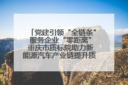 党建引领“全链条” 服务企业“零距离” 重庆市质标院助力新能源汽车产业链提升质量管理水平