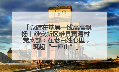 党旗在基层一线高高飘扬丨雄安新区雄县黄湾村党支部：在老百姓心里，筑起“一座山”