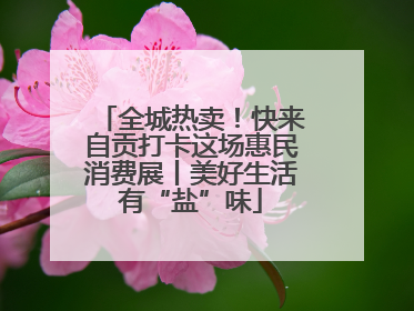 全城热卖！快来自贡打卡这场惠民消费展丨美好生活有“盐”味