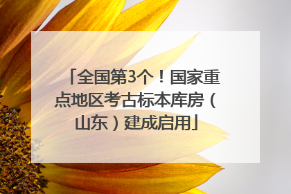 全国第3个！国家重点地区考古标本库房（山东）建成启用