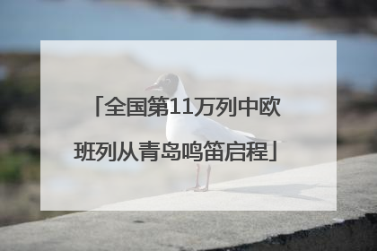 全国第11万列中欧班列从青岛鸣笛启程