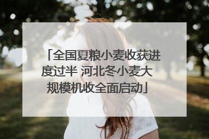 全国夏粮小麦收获进度过半 河北冬小麦大规模机收全面启动