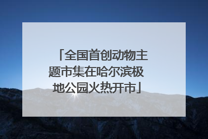 全国首创动物主题市集在哈尔滨极地公园火热开市