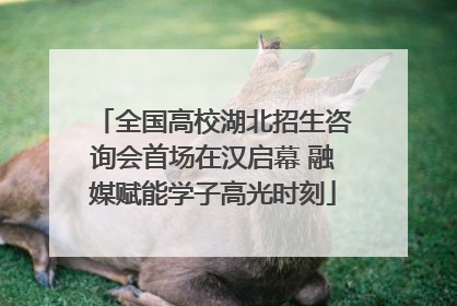 全国高校湖北招生咨询会首场在汉启幕 融媒赋能学子高光时刻