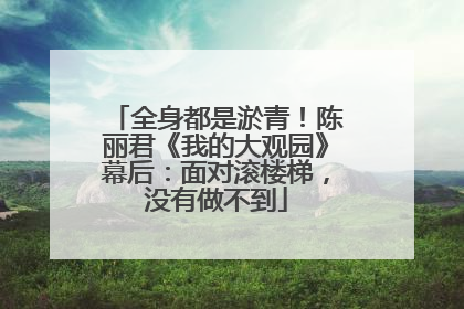 全身都是淤青！陈丽君《我的大观园》幕后：面对滚楼梯，没有做不到