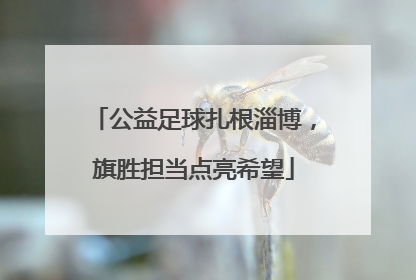 公益足球扎根淄博，旗胜担当点亮希望