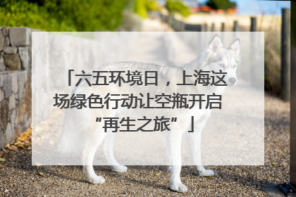 六五环境日，上海这场绿色行动让空瓶开启 “再生之旅”