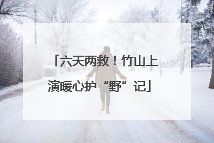 六天两救！竹山上演暖心护“野”记