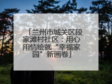 兰州市城关区段家滩村社区：用心用情绘就“幸福家园”新画卷