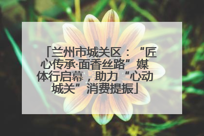 兰州市城关区：“匠心传承·面香丝路”媒体行启幕，助力“心动城关”消费提振