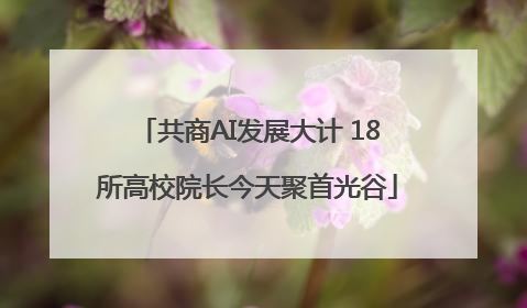共商AI发展大计 18所高校院长今天聚首光谷